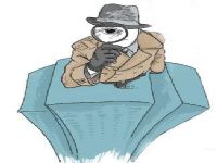 尚义县取证公司解说第三者承担离婚赔偿责任吗